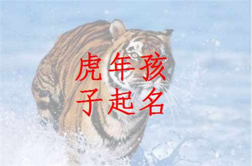 虎年宝宝起名：那啥…到底该咋选？