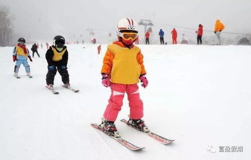 冰雪大冒险：2026年自驾滑雪场的血泪史