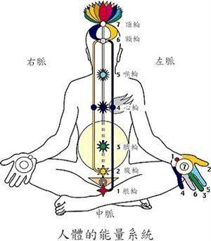 将来龙去脉打一生肖，来龙去脉打一动物是什么生肖和动物？