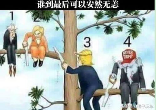 梦境与姓名的关系
