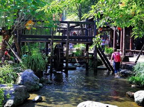 历史遗迹：井水的秘密与浮雕石壁