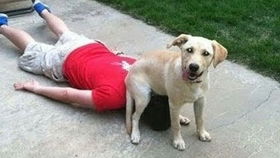 七月生的奇葩性格大赏