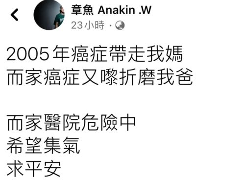 十二生肖发疯指南