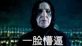 八、羊年&东部——柔软如绵还是硬如石？