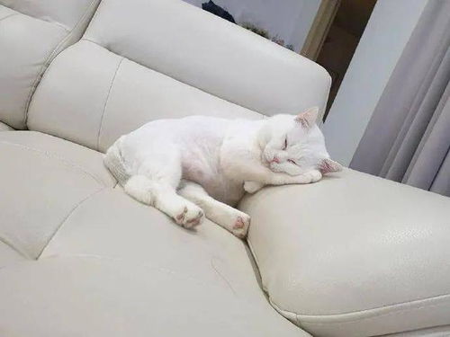 记忆碎片