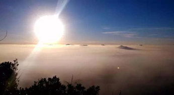 鬼影幢幢？还是错觉？（我怀疑人生）