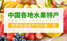 太保胡萝卜: 营养成分身体健康状况的选择