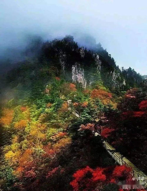 还在等什么？冲鸭！