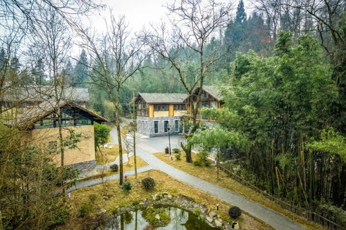 三、乡村旅游民宿，肇庆市条评论人参与
