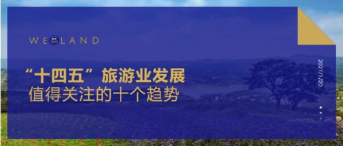 策略一：狠狠地争取政策红利