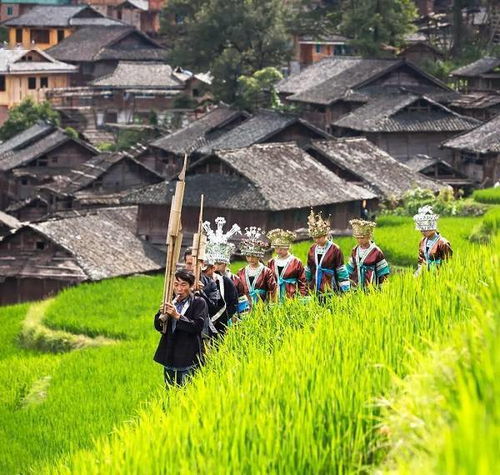 常德踏青赏花，诗意山水遇人间烟火