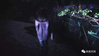 第一章：锈迹斑斑的记忆与那辆古怪的马车