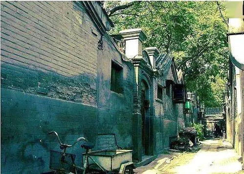 棉花村的前世今生：一个名字的误会