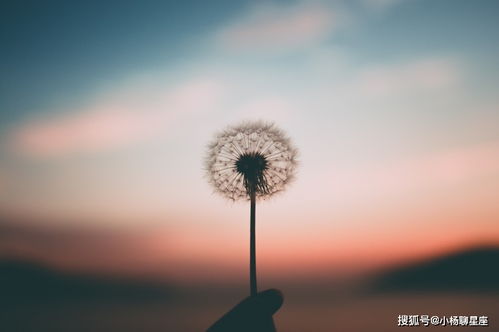 第一章：生肖鼠的惊魂夜与五行缺金