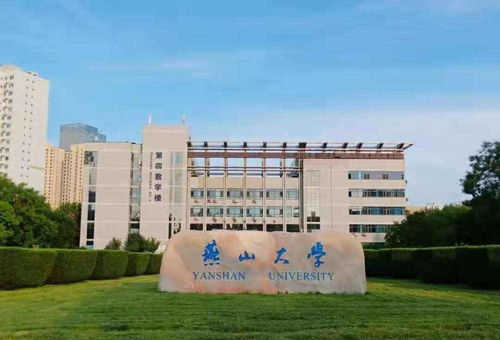 第六章：网友眼中的“真实”与“虚假”