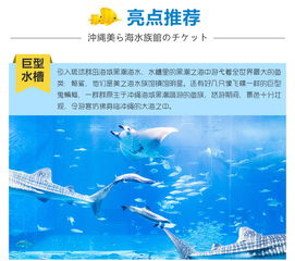 交通？不如说是渡劫