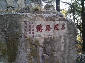 第五站：章丘美食狂欢夜—吃到撑爆也要笑出声！