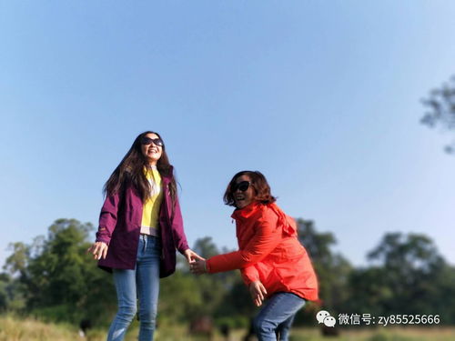 拍照姿势大公开（纯属娱乐）