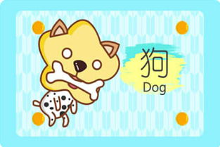 属狗人2023年下半年财运运势如何？