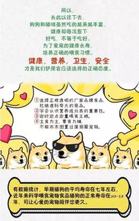 喂食注意事项（噪音版）