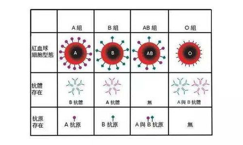 水瓶座的关系到与职业倾向