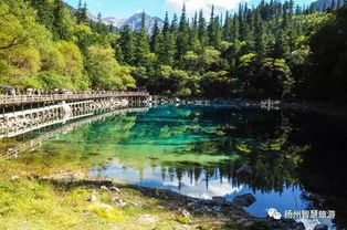 五一假期乱七八糟的淮阳古都&九寨沟“神奇”路线