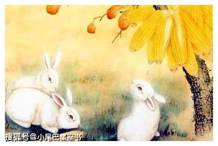 1975年出生属兔的人一生中会有哪些桃花贵人？