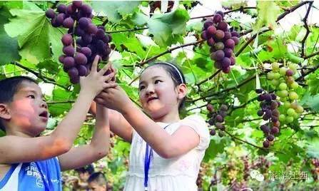 3. 现场体验——不是只有吃，还能做哪些？