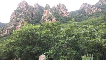 救命！梨木台景区9.9元门票把我坑哭了