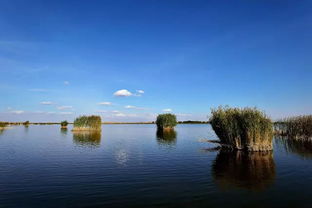 七星湖：沙漠里的奇迹还是人工的奇迹？