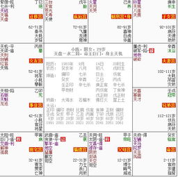 定制化建议：你的命盘你Zuo主
