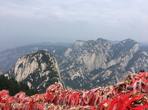 渭南不只有华山！还有这些骚操作！
