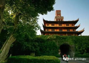 天一阁：古籍保护区的灾难现场