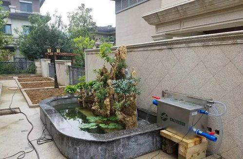 店铺鱼池的位置,店里放鱼池怎么个说法