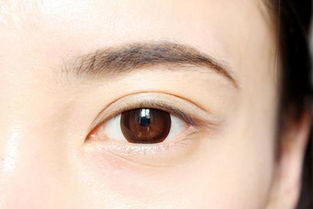 面相眉骨高眼睛凹陷眼窝凹陷的女人，这样的面相有什么特点或寓意吗？
