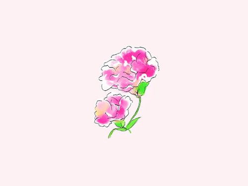 这些星座表面节俭，实际花钱如流水