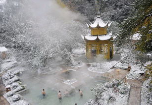 冬天里的惊艳：探索冰雪下的黃 山