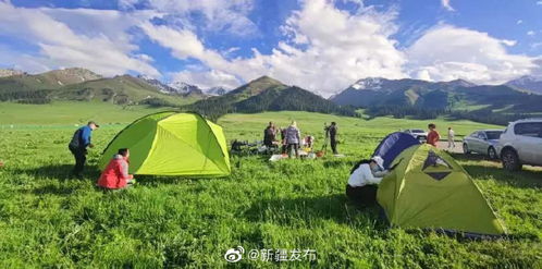 为哪些有人觉得“市场价格较高”?