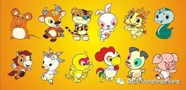 十二生肖最吉贵人排行图和命运图分别代表什么含义？