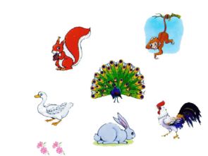 将耳目心腹打一生肖，是哪个生肖尾巴长？