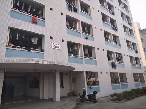 四、 校园美食巡礼：味蕾旅行比景点更刺激