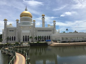 花钱如流水：从土豪到乞丐的奇幻漂流