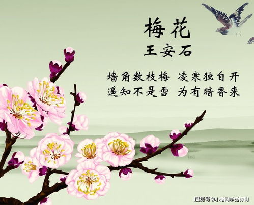 夜读古诗时 图中幽魂浮现，童声笑语里寒意阵阵袭人——生肖星座与风水乱弹