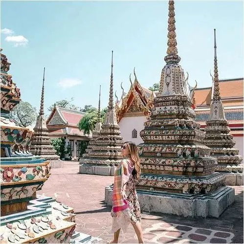 省钱省到阴沟里：2026最新骗术大赏