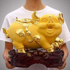猪猪的奇妙文化内涵
