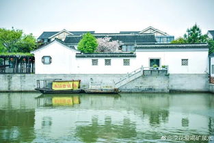 一、春日迟迟，为何偏偏是苏州？一场关于“逃离”与“寻找”的内心独白