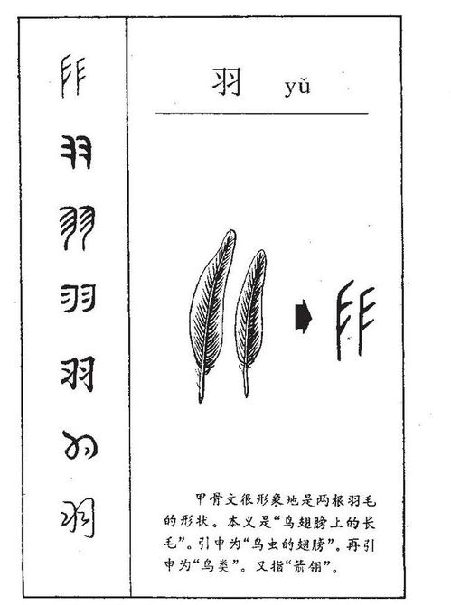 五行属土一生好运的林姓女孩名字，有没有姓羽的女宝宝适用的？