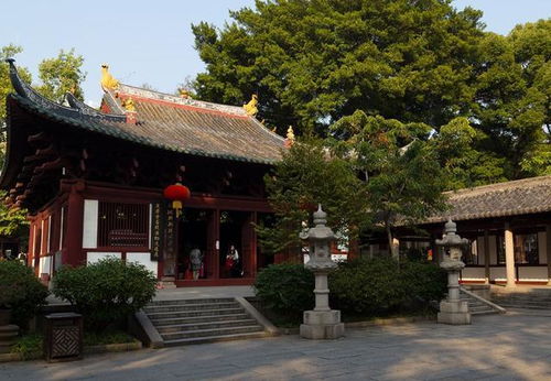 二、较大雄宝殿后侧墙角：宁静又神秘