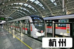 K531到杭州站，我被一碗葱包桧截胡了