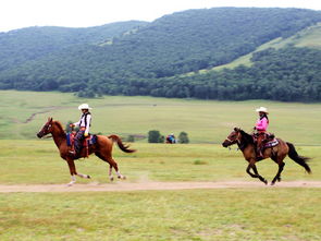 和静：草原上的奇遇记（可嫩有点恐怖）